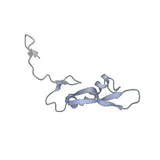 10398_6t83_Vb_v1-2
Structure of yeast disome (di-ribosome) stalled on poly(A) tract.