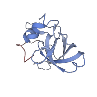 10398_6t83_Vy_v1-2
Structure of yeast disome (di-ribosome) stalled on poly(A) tract.