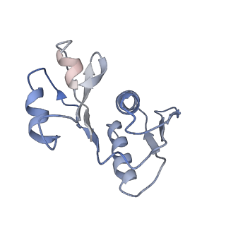 10398_6t83_Wb_v1-2
Structure of yeast disome (di-ribosome) stalled on poly(A) tract.