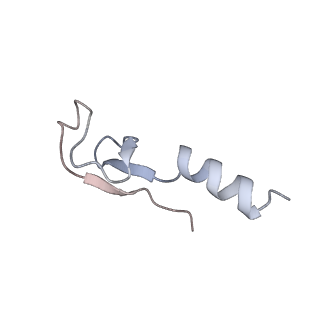 10398_6t83_X_v1-2
Structure of yeast disome (di-ribosome) stalled on poly(A) tract.