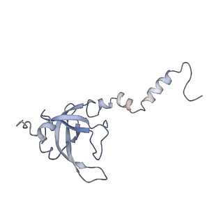 10398_6t83_Xb_v1-2
Structure of yeast disome (di-ribosome) stalled on poly(A) tract.