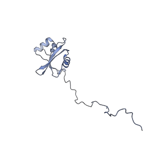10398_6t83_Xy_v1-2
Structure of yeast disome (di-ribosome) stalled on poly(A) tract.