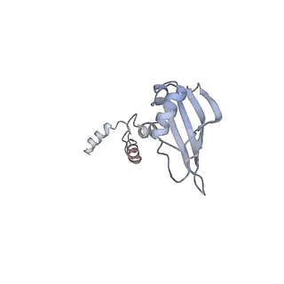 10398_6t83_Yb_v1-2
Structure of yeast disome (di-ribosome) stalled on poly(A) tract.