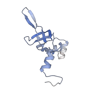 10398_6t83_Yy_v1-2
Structure of yeast disome (di-ribosome) stalled on poly(A) tract.