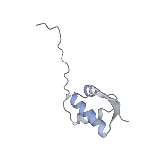 10398_6t83_Zb_v1-2
Structure of yeast disome (di-ribosome) stalled on poly(A) tract.