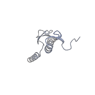 10398_6t83_aa_v1-2
Structure of yeast disome (di-ribosome) stalled on poly(A) tract.