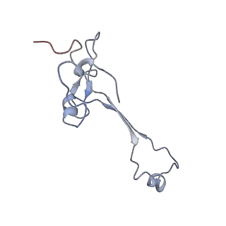 10398_6t83_ab_v1-2
Structure of yeast disome (di-ribosome) stalled on poly(A) tract.