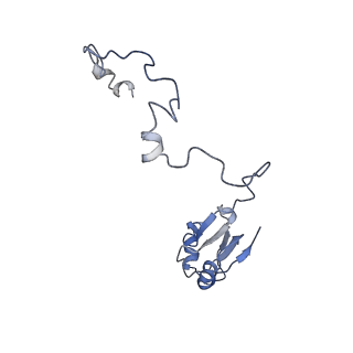 10398_6t83_ay_v1-2
Structure of yeast disome (di-ribosome) stalled on poly(A) tract.