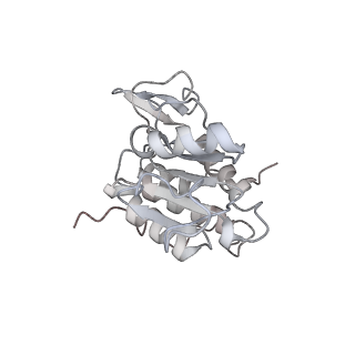10398_6t83_b_v1-2
Structure of yeast disome (di-ribosome) stalled on poly(A) tract.