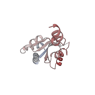 10398_6t83_ba_v1-2
Structure of yeast disome (di-ribosome) stalled on poly(A) tract.