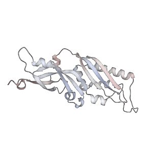 10398_6t83_c_v1-2
Structure of yeast disome (di-ribosome) stalled on poly(A) tract.