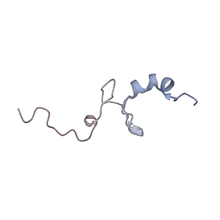 10398_6t83_db_v1-2
Structure of yeast disome (di-ribosome) stalled on poly(A) tract.