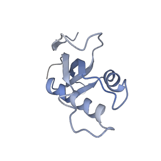 10398_6t83_dy_v1-2
Structure of yeast disome (di-ribosome) stalled on poly(A) tract.