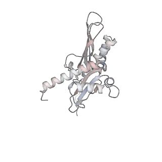10398_6t83_e_v1-2
Structure of yeast disome (di-ribosome) stalled on poly(A) tract.