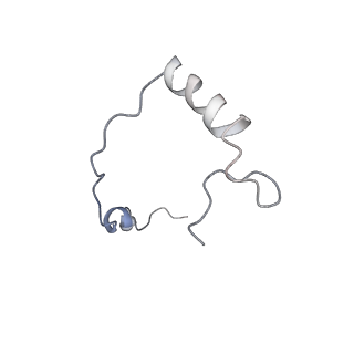 10398_6t83_eb_v1-2
Structure of yeast disome (di-ribosome) stalled on poly(A) tract.