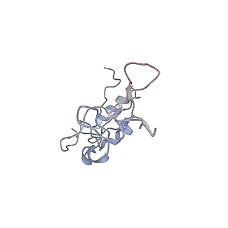 10398_6t83_ey_v1-2
Structure of yeast disome (di-ribosome) stalled on poly(A) tract.