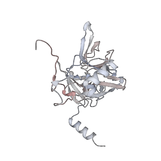 10398_6t83_f_v1-2
Structure of yeast disome (di-ribosome) stalled on poly(A) tract.