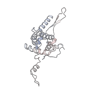 10398_6t83_g_v1-2
Structure of yeast disome (di-ribosome) stalled on poly(A) tract.