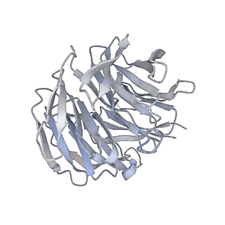 10398_6t83_gb_v1-2
Structure of yeast disome (di-ribosome) stalled on poly(A) tract.