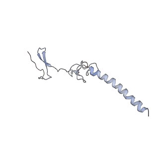 10398_6t83_gy_v1-2
Structure of yeast disome (di-ribosome) stalled on poly(A) tract.