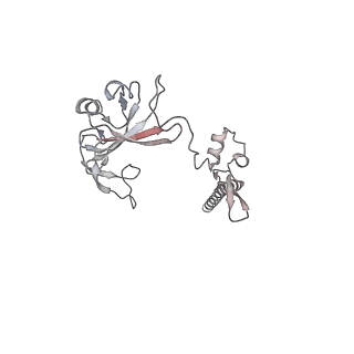 10398_6t83_h_v1-2
Structure of yeast disome (di-ribosome) stalled on poly(A) tract.