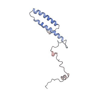10398_6t83_hb_v1-2
Structure of yeast disome (di-ribosome) stalled on poly(A) tract.