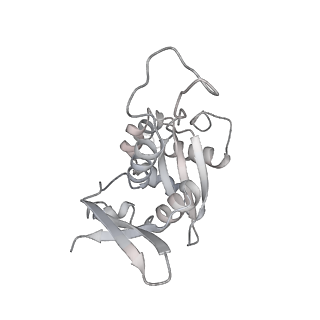 10398_6t83_i_v1-2
Structure of yeast disome (di-ribosome) stalled on poly(A) tract.