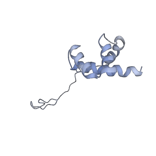 10398_6t83_ib_v1-2
Structure of yeast disome (di-ribosome) stalled on poly(A) tract.