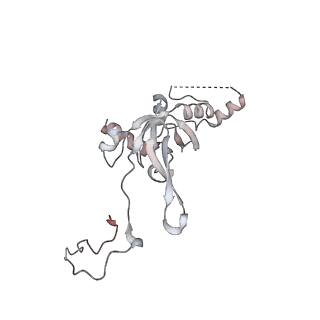 10398_6t83_j_v1-2
Structure of yeast disome (di-ribosome) stalled on poly(A) tract.