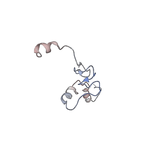 10398_6t83_jb_v1-2
Structure of yeast disome (di-ribosome) stalled on poly(A) tract.