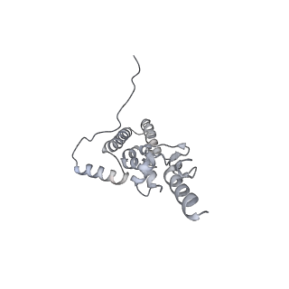 10398_6t83_k_v1-2
Structure of yeast disome (di-ribosome) stalled on poly(A) tract.