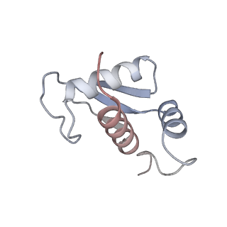 10398_6t83_l_v1-2
Structure of yeast disome (di-ribosome) stalled on poly(A) tract.