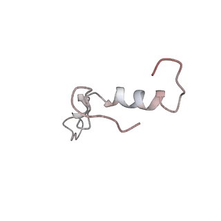 10398_6t83_lb_v1-2
Structure of yeast disome (di-ribosome) stalled on poly(A) tract.