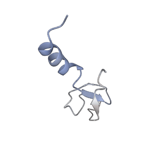 10398_6t83_mb_v1-2
Structure of yeast disome (di-ribosome) stalled on poly(A) tract.