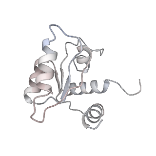 10398_6t83_n_v1-2
Structure of yeast disome (di-ribosome) stalled on poly(A) tract.