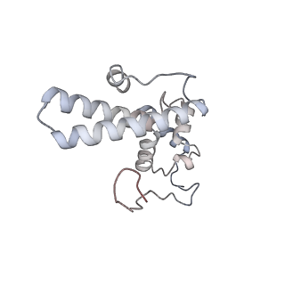 10398_6t83_o_v1-2
Structure of yeast disome (di-ribosome) stalled on poly(A) tract.