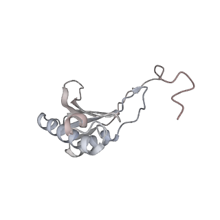 10398_6t83_p_v1-2
Structure of yeast disome (di-ribosome) stalled on poly(A) tract.