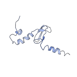 10398_6t83_pb_v1-2
Structure of yeast disome (di-ribosome) stalled on poly(A) tract.