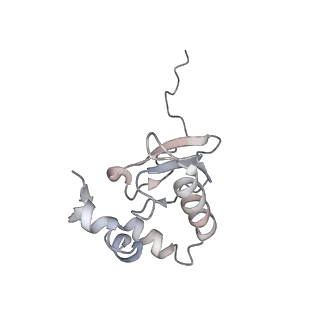 10398_6t83_q_v1-2
Structure of yeast disome (di-ribosome) stalled on poly(A) tract.