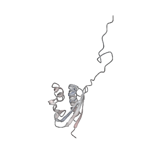 10398_6t83_r_v1-2
Structure of yeast disome (di-ribosome) stalled on poly(A) tract.