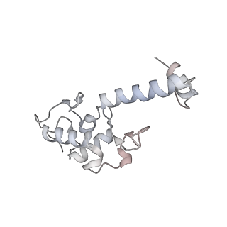 10398_6t83_t_v1-2
Structure of yeast disome (di-ribosome) stalled on poly(A) tract.