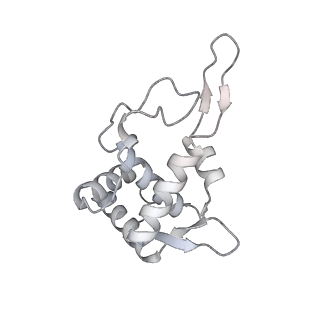 10398_6t83_u_v1-2
Structure of yeast disome (di-ribosome) stalled on poly(A) tract.