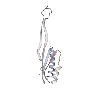 10398_6t83_v_v1-2
Structure of yeast disome (di-ribosome) stalled on poly(A) tract.