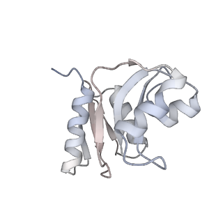 10398_6t83_x_v1-2
Structure of yeast disome (di-ribosome) stalled on poly(A) tract.