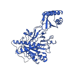 10399_6t8b_B_v1-1
FtsK motor domain with dsDNA, translocating state