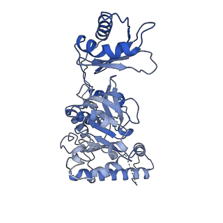10399_6t8b_D_v1-1
FtsK motor domain with dsDNA, translocating state