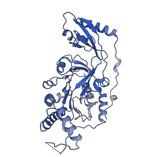 10399_6t8b_F_v1-1
FtsK motor domain with dsDNA, translocating state