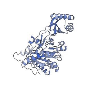 10400_6t8g_A_v1-1
Stalled FtsK motor domain bound to dsDNA