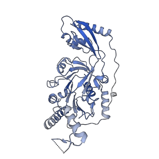 10400_6t8g_E_v1-1
Stalled FtsK motor domain bound to dsDNA