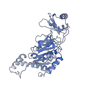 10400_6t8g_F_v1-1
Stalled FtsK motor domain bound to dsDNA